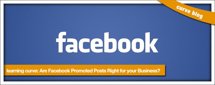 Facebook promoted posts suitable for businesses? 