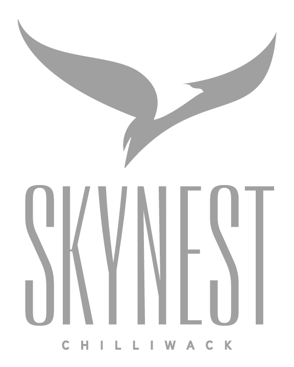 skynest_logo-grey-on-transp.png